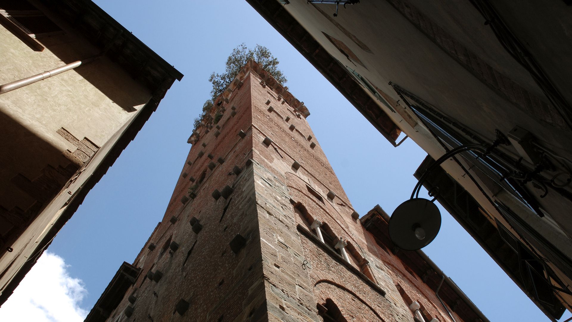 torre guinigi of lucca